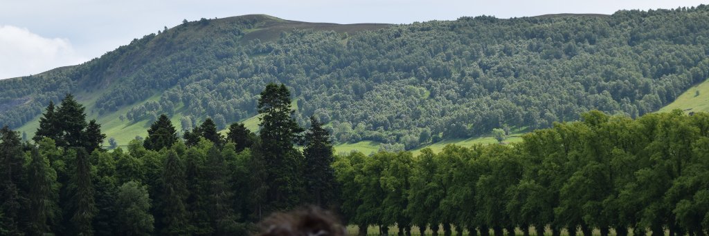 Xavier / Bloblor banner