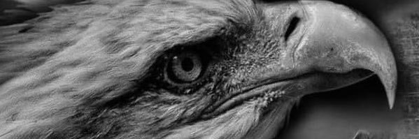 TANERONLU's profile banner image
