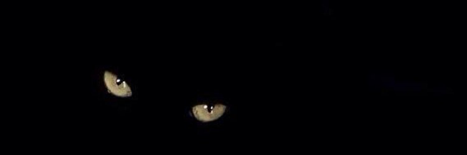 passionforjass's profile banner image