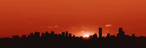 rpwithmaia's profile banner image