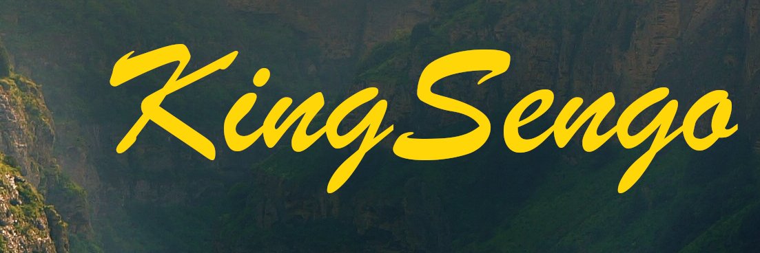 KingSengo's profile banner image