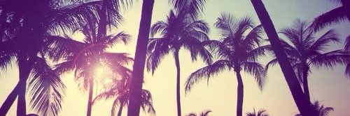 lmarulanda1's profile banner image