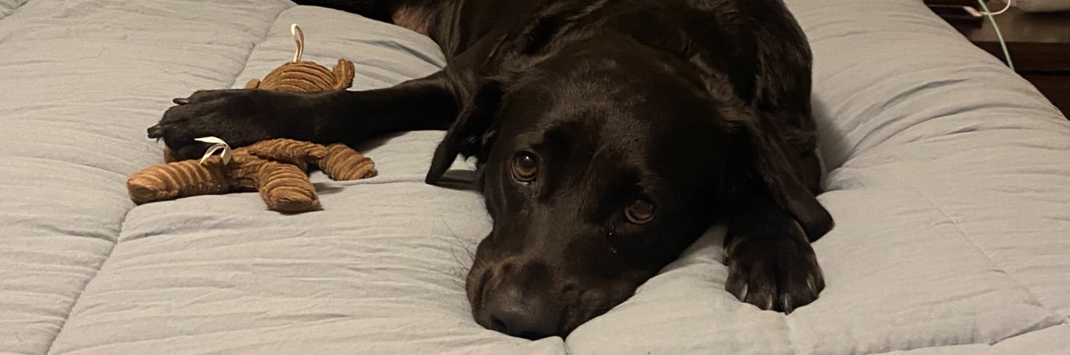 Amber_Rachele's profile banner image