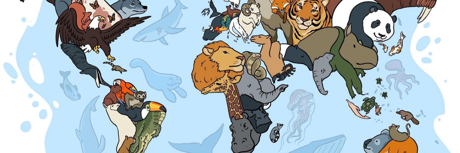 goncarni's profile banner image