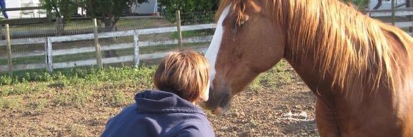 BBCR H🇺🇸🐾🐴 banner