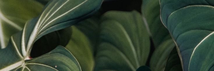 skae__'s profile banner image