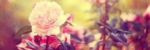 ktkwinlan's profile banner image