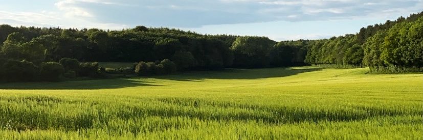 LewisTappin's profile banner image