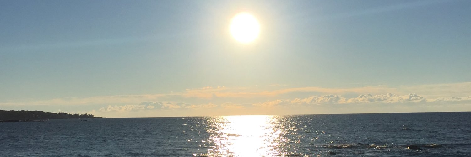 KelliMWPhillips's profile banner image