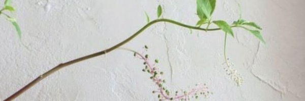 marmy_J Profile Banner