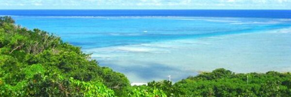 t1992k0825 Profile Banner