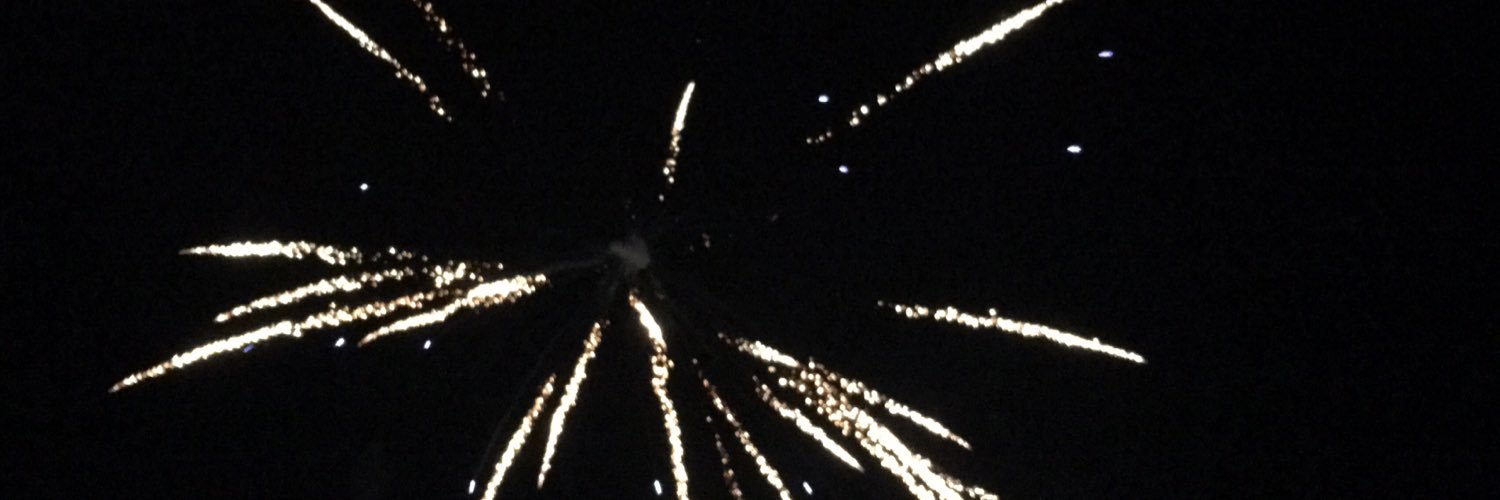 LasaneeVang's profile banner image