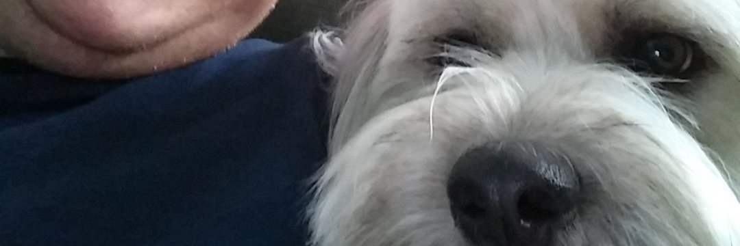 amansayingstuff's profile banner image