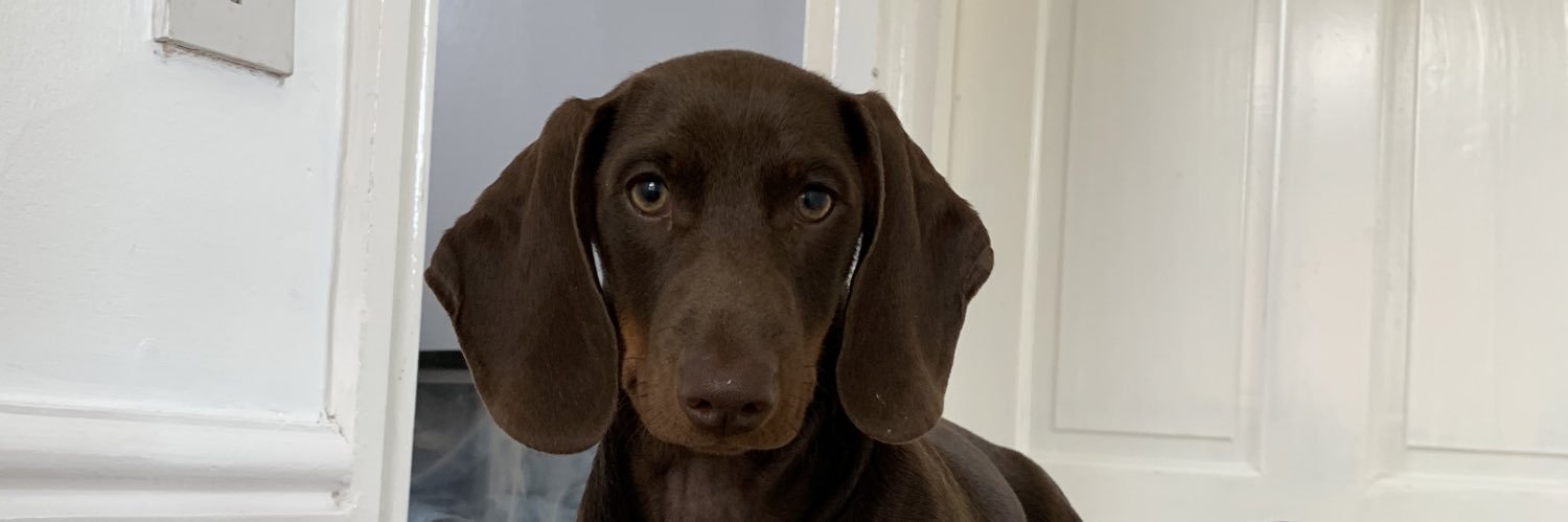 Stbollo's profile banner image