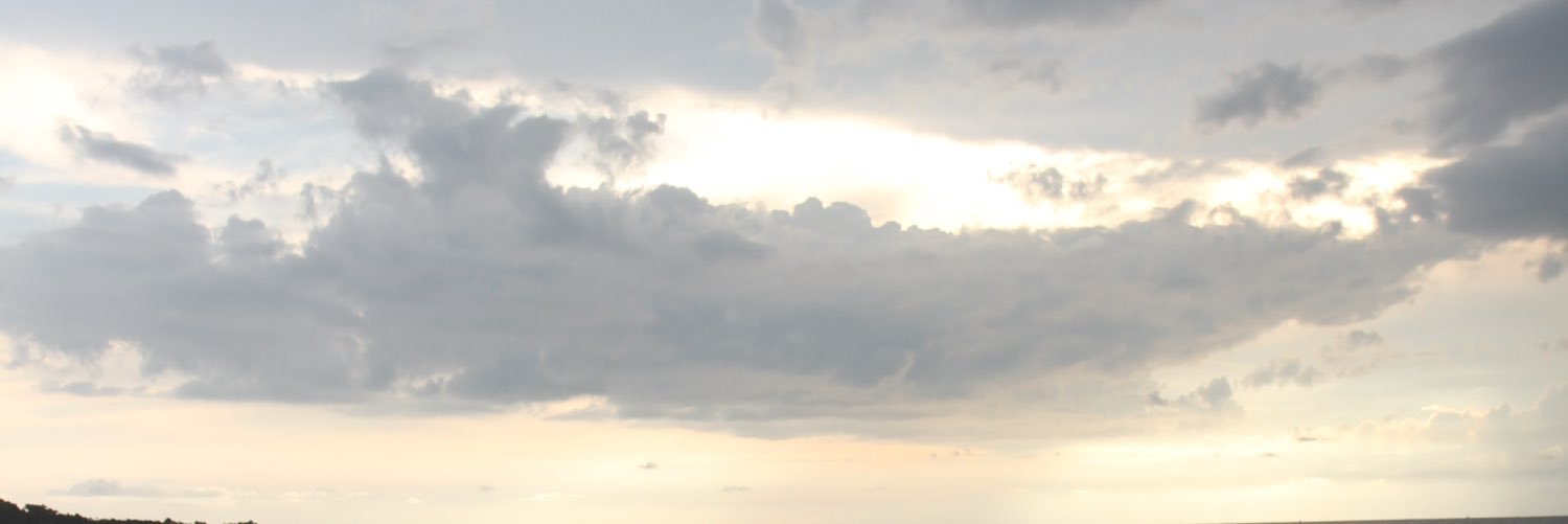 Rangga S. Temat banner