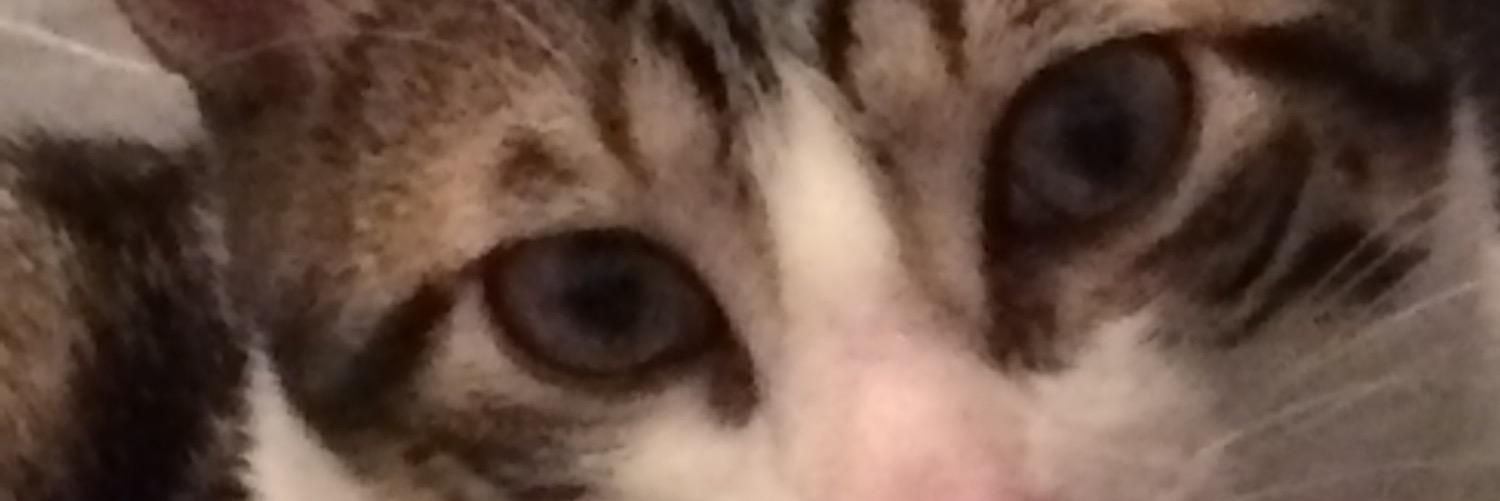 zule182's profile banner image
