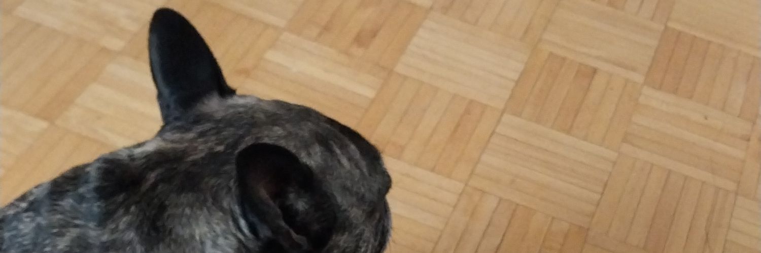 FloraK79's profile banner image