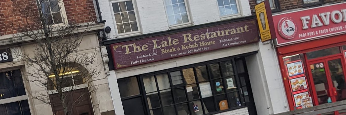 Lale Arikoglu banner