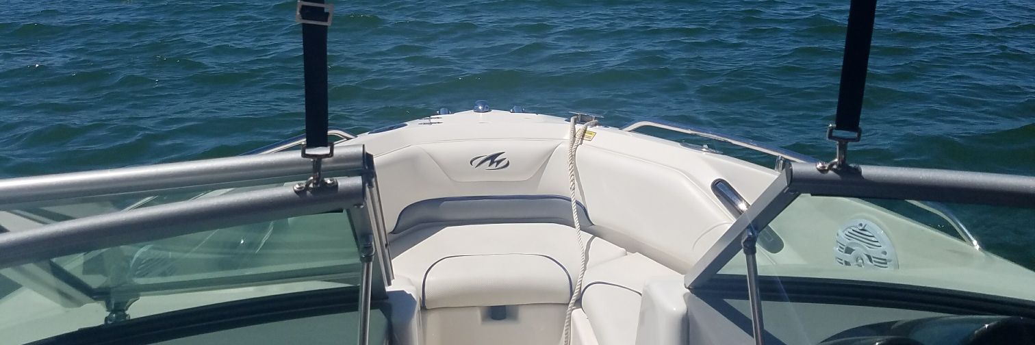 Kathi Newberg banner