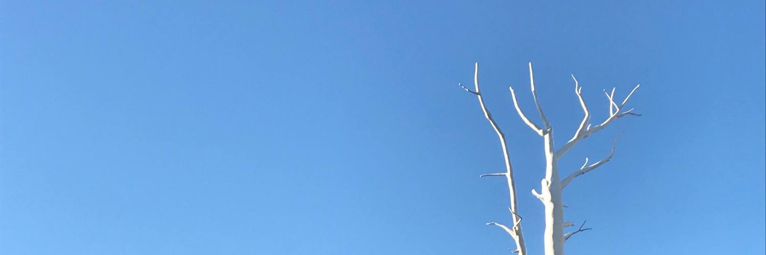 Hélène Huteau banner