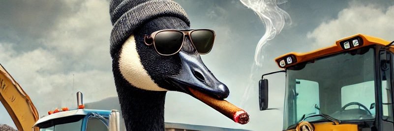 TheGoose988's profile banner image