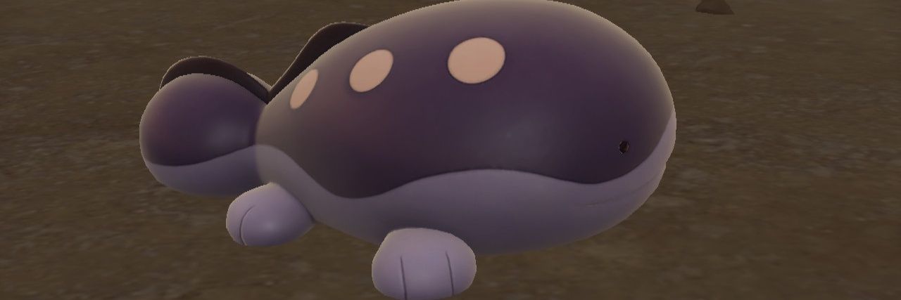 HawkWindrider's profile banner image