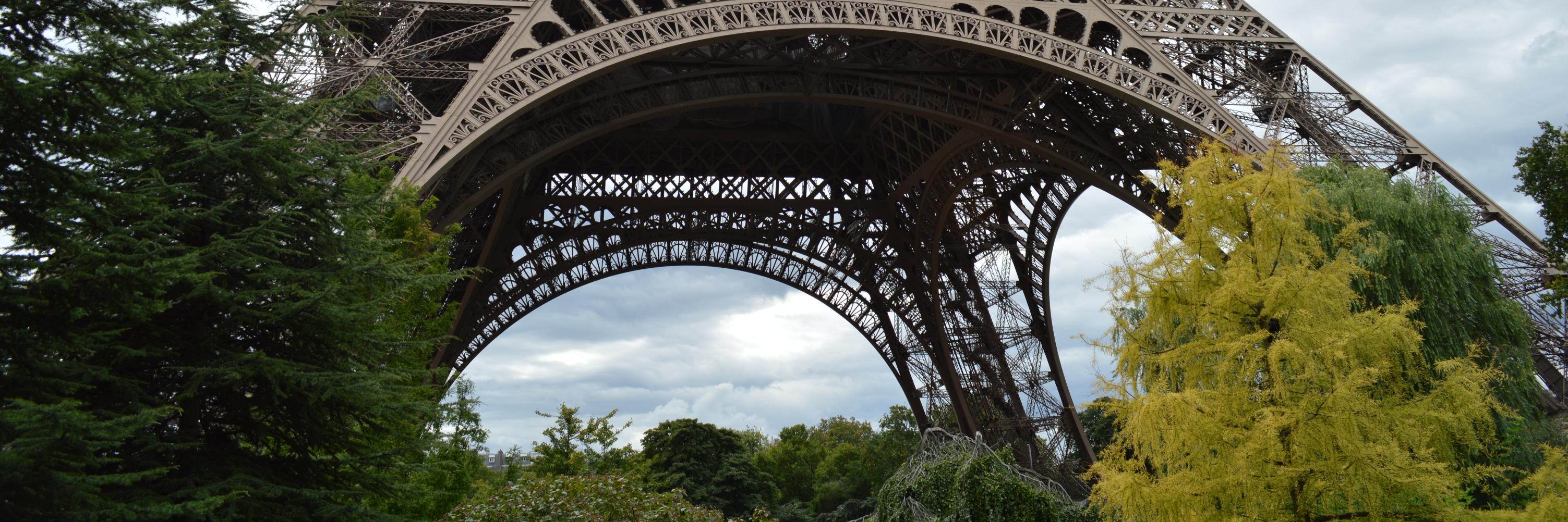 Bibi 📽🎞🏃🏻‍♀️🏋🏻‍♀️🚴🏻‍♀️ banner