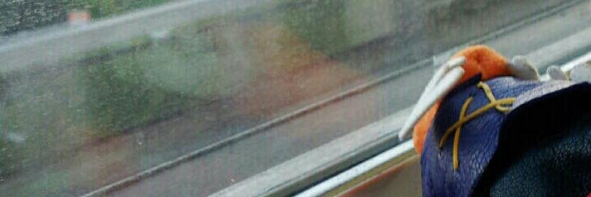 Luca Agliardi banner