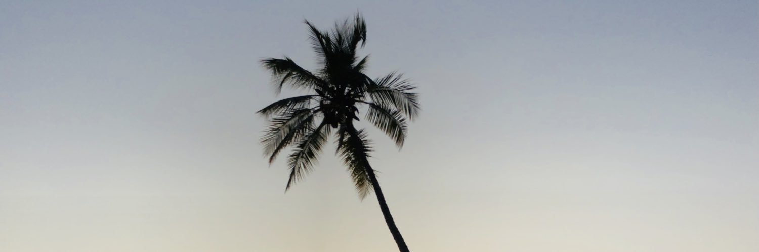edubedia's profile banner image