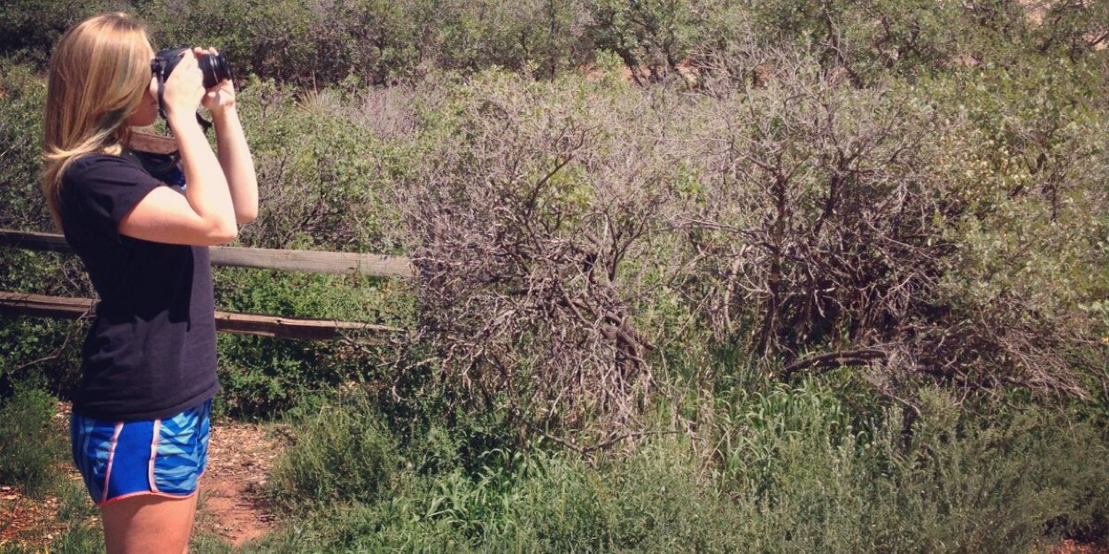 Bizz_'s profile banner image