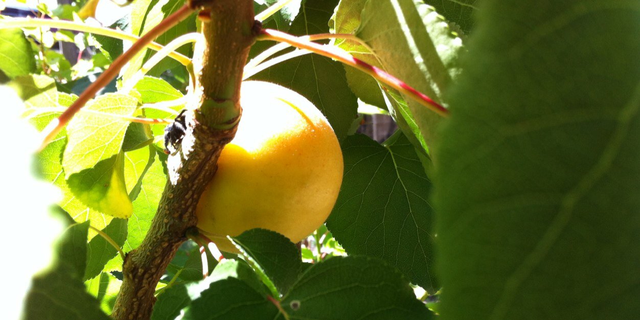 EatDrinkThink's profile banner image