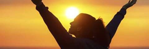 cocojulsses's profile banner image