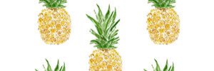 gemjarr's profile banner image