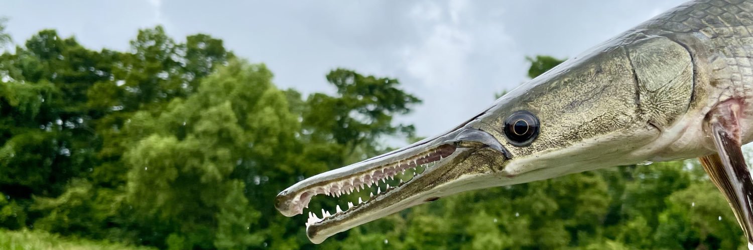 Dr. Solomon David banner