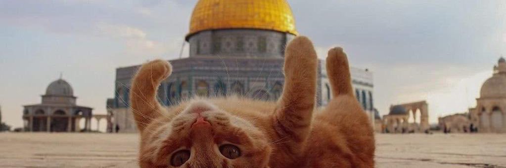 dalbudakhalil's profile banner image