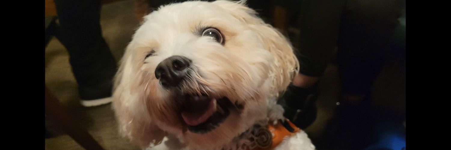 Jimbob_1977_'s profile banner image