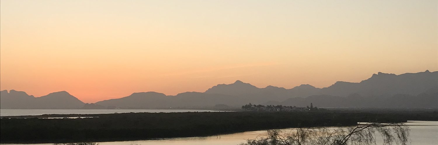 juliorochav's profile banner image