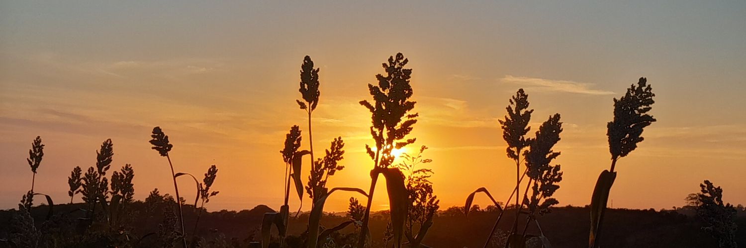 robertocelut's profile banner image