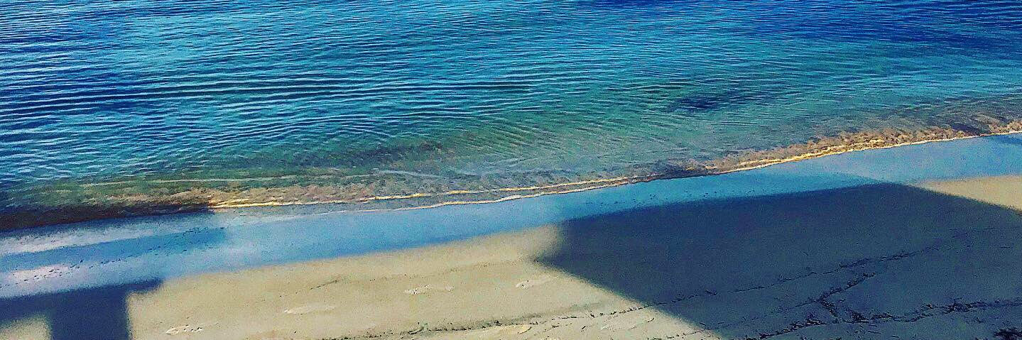 Matthew Ellis banner