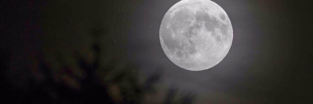 خـيال الأطراف… banner