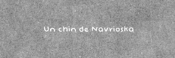 Navrioska Profile Banner