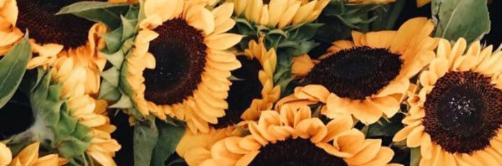 itskaylaemory's profile banner image