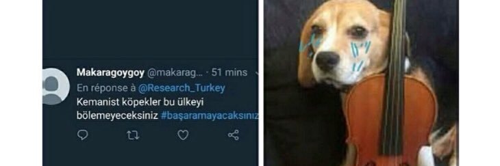 fthoksuz's profile banner image
