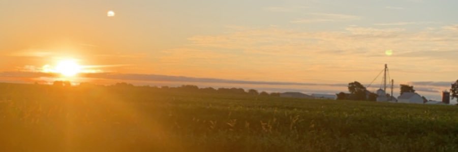 g_hasel's profile banner image