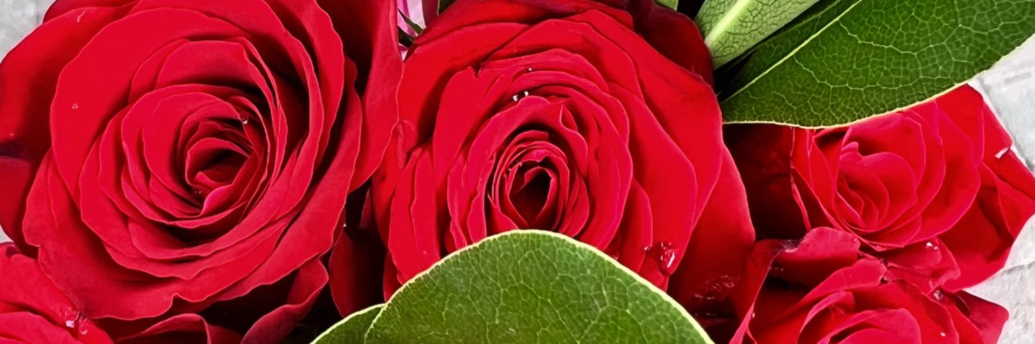 andreaperaltaa_'s profile banner image