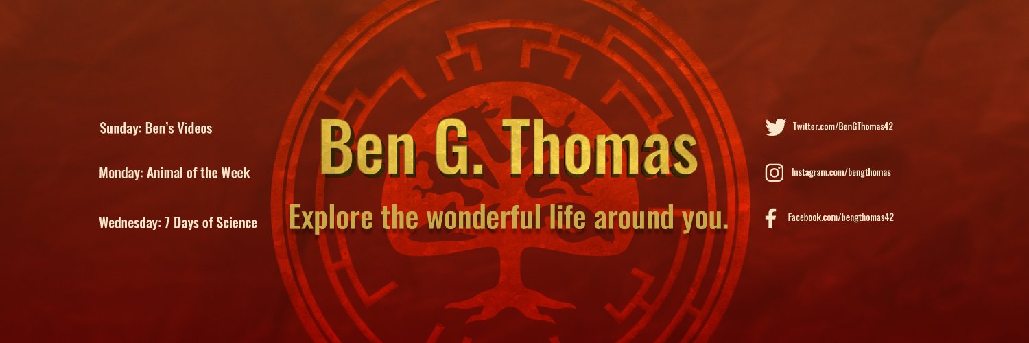 Ben G Thomas banner