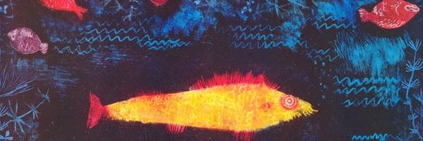 Dave Vandenbout banner