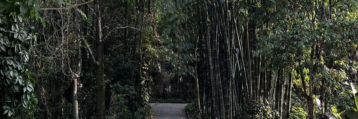 stefanyfrrr's profile banner image