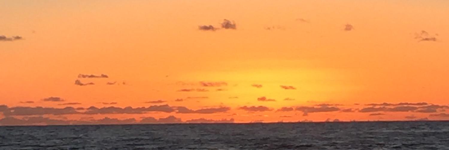TracCarmichael's profile banner image