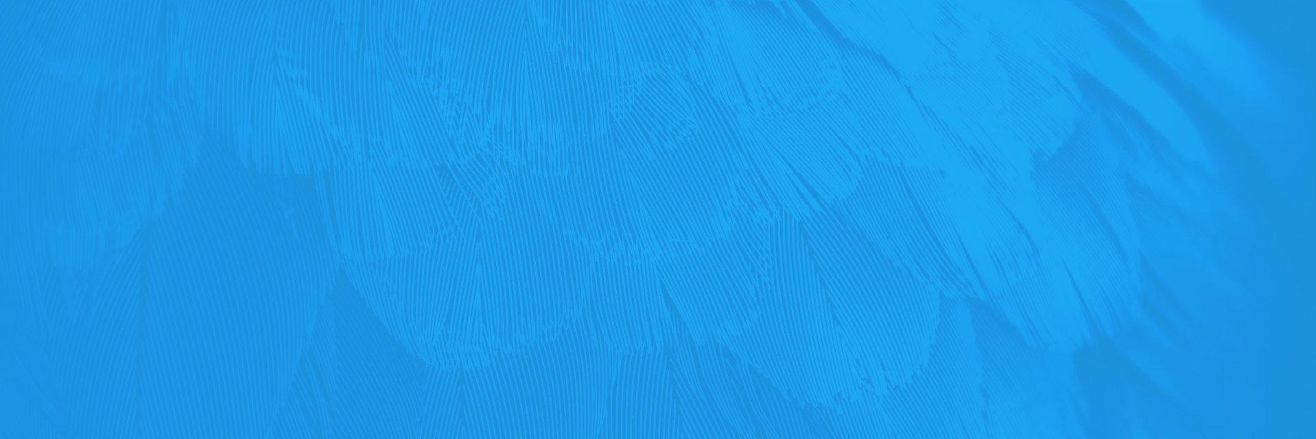 Frisenette's profile banner image